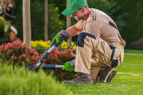 Ground maintenance