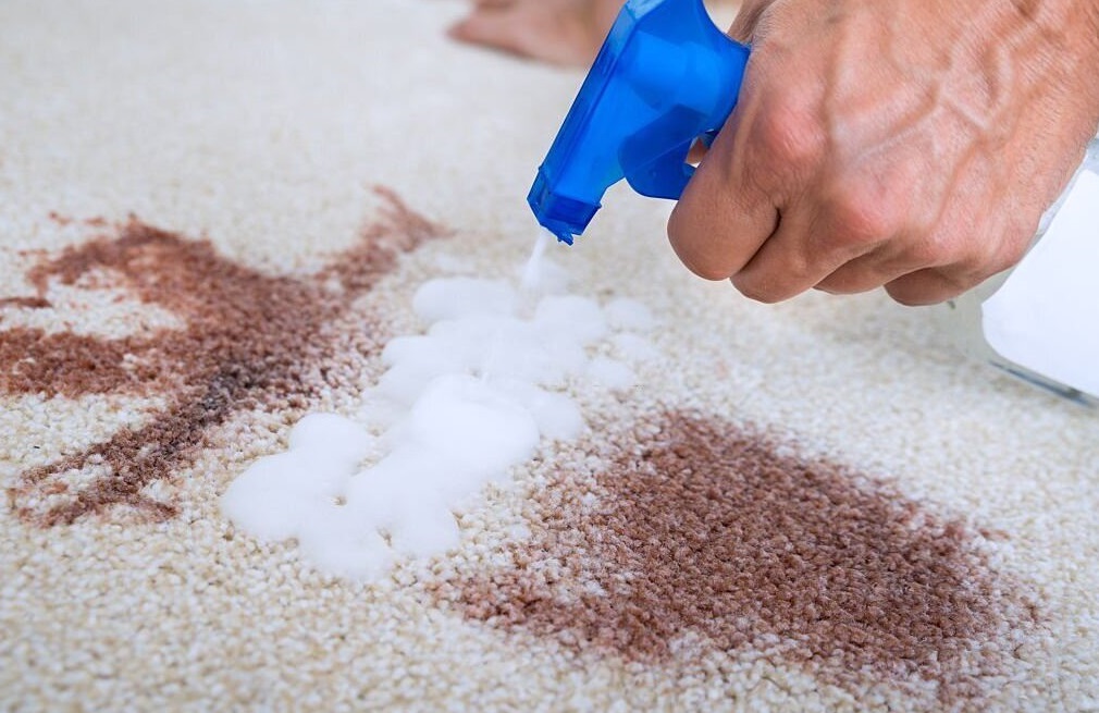 carpet stains cleaning tips